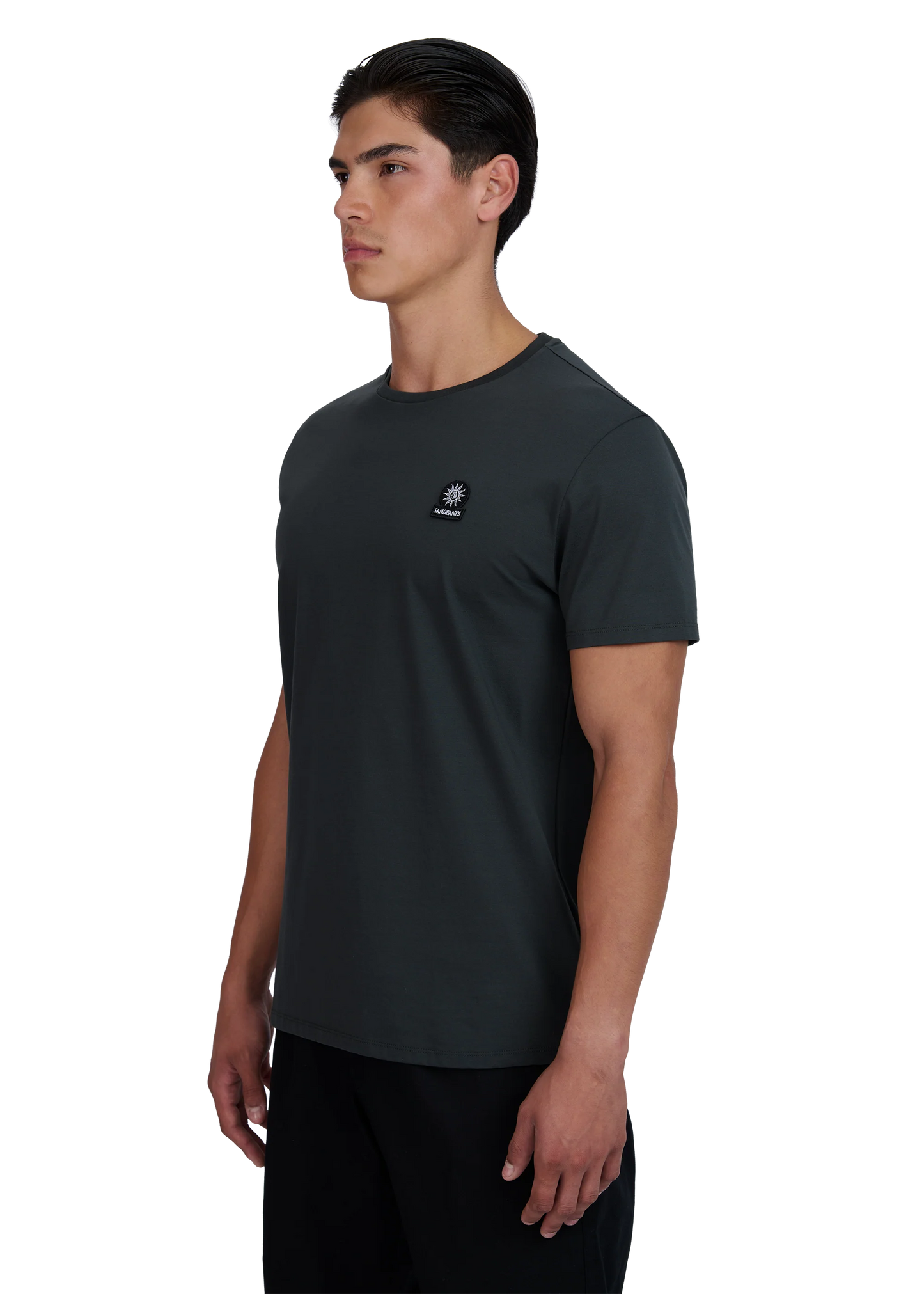 Sandbanks Badge Logo T - anthracite